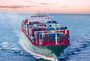 中方發(fā)布白皮書(shū)，回應(yīng)美方言而無(wú)信，重申國(guó)營(yíng)貿(mào)易管理貨物進(jìn)出口的堅(jiān)定立場(chǎng)